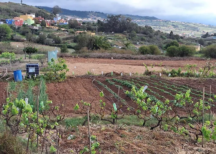 La Casita Del Cestero