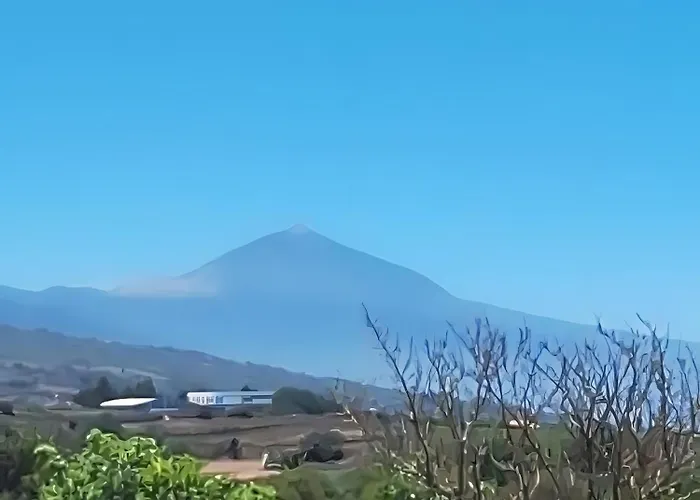 La Casita Del Cestero