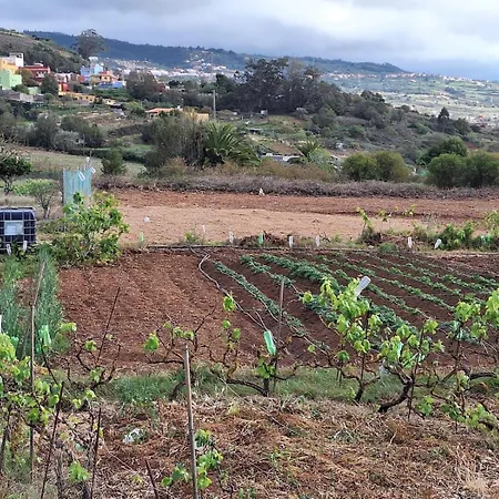 La Casita Del Cestero